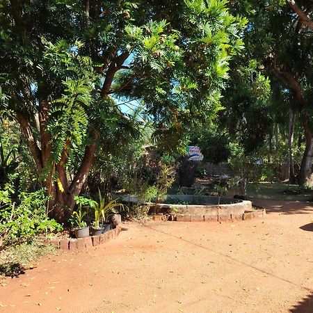 Olivia Homestay 阿努拉德普勒 外观 照片