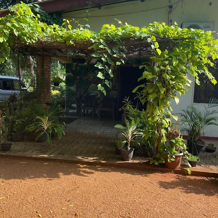 Olivia Homestay 阿努拉德普勒 外观 照片