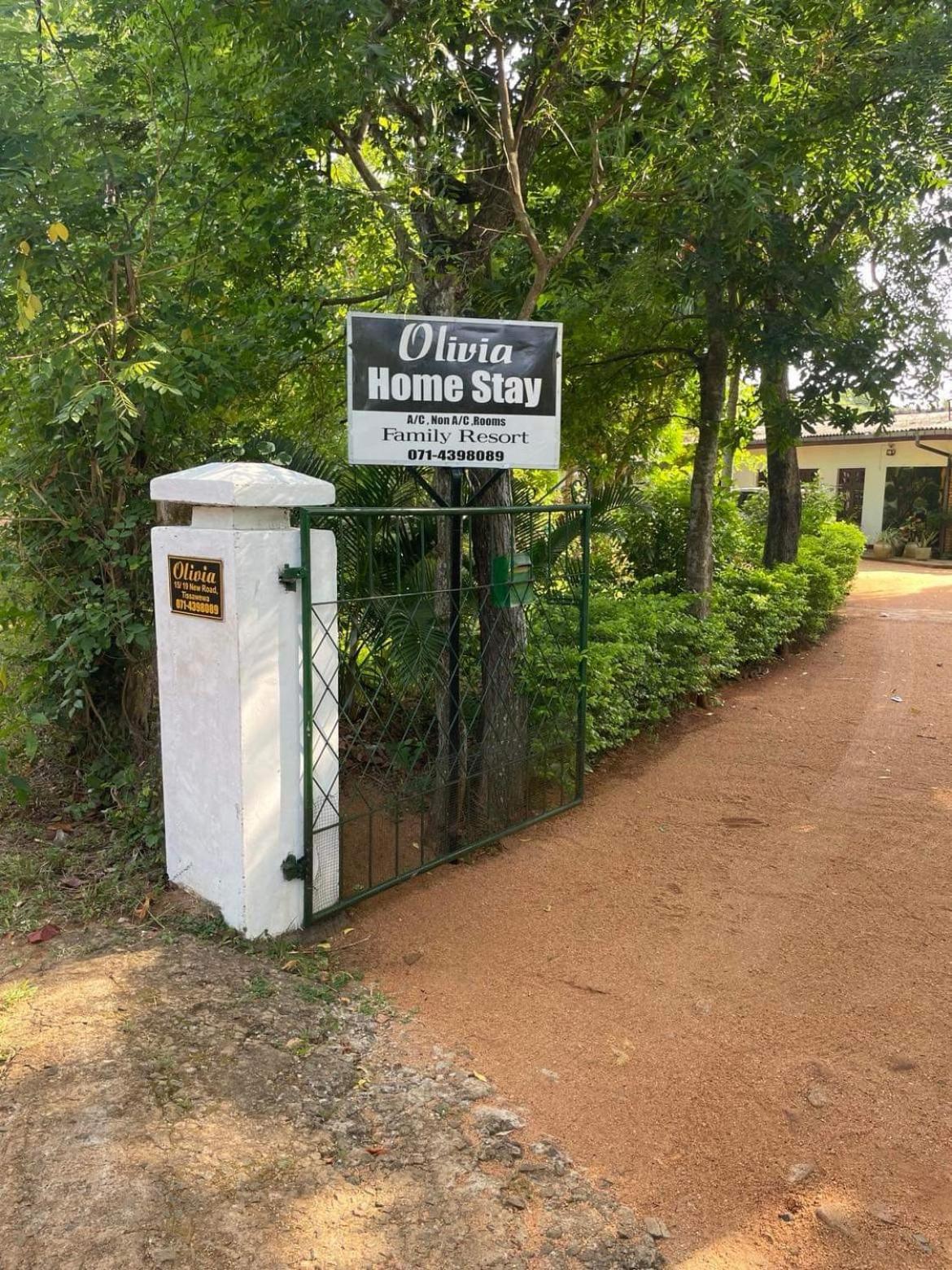 Olivia Homestay 阿努拉德普勒 外观 照片