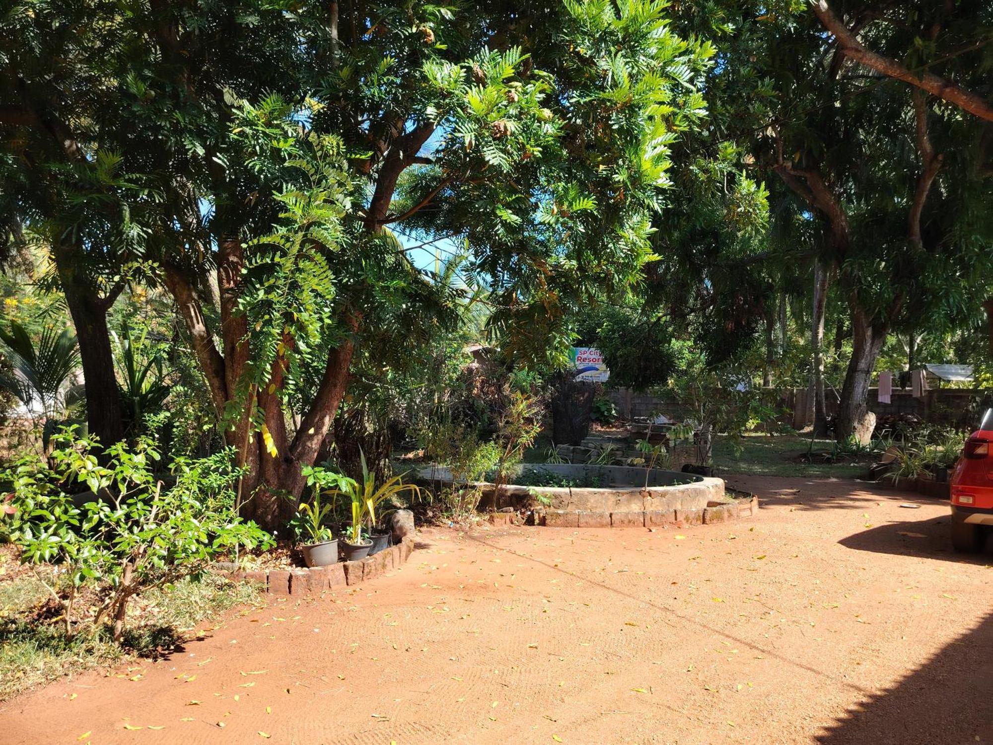 Olivia Homestay 阿努拉德普勒 外观 照片