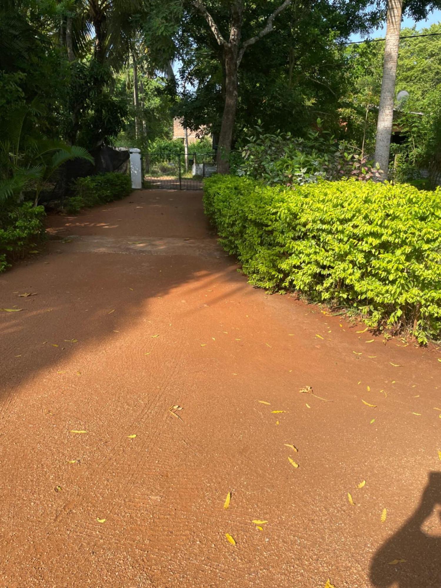 Olivia Homestay 阿努拉德普勒 外观 照片