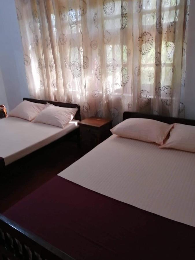 Olivia Homestay 阿努拉德普勒 外观 照片
